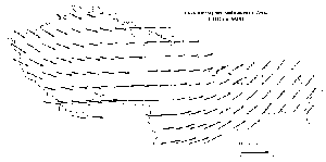 Obr. 4: Porovnn systm S-42 a S-42/83 po 2. soubornm vyrovnn