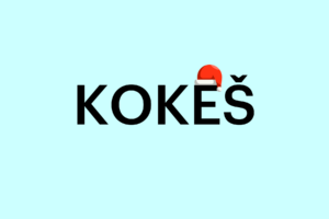 gepro-software-kokes-14-50-ze